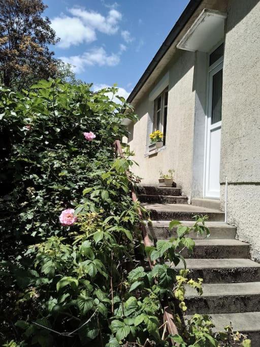 Maison De Village En Bord De Riviere Narcy Exterior photo
